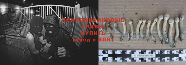 прущие крисы Баксан