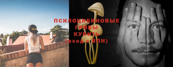 apvp Белоозёрский