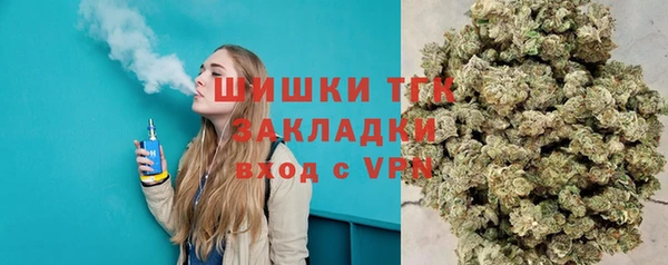 сатива Балахна