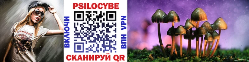 наркота  Кимовск  Галлюциногенные грибы Cubensis 